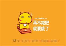 docp137第一个叫什么
